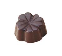Paderno Sambonet Stampo cioccolatini policarbonato 32 impronte fiori
