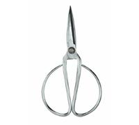 Paderno World Cuisine Forbici per carne in acciaio inox, lunghezza 16,5 cm