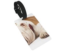 Padre e figlio Cani Bulldog inglese Cucciolo Lingua che lecca il naso 2 pezzi Etichette per bagagli, Anello per etichetta identificativa per la protezione della privacy e Biglietto per l'indirizzo p