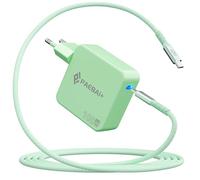 PAEBAI+ 100W USB C Caricatore PD GaN Alimentatore per MacBook Pro, MacBook Air, Google Pixelbook, ThinkPad, Dell XPS, iPad Pro, Samsung Galaxy S24/S23, iPhone 16 15 Pro (Verde)