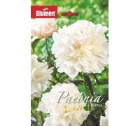 Paeonia Bianca White Peony Bulbs, Garden Flowering Plant