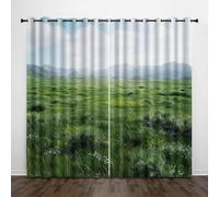 Paesaggio 3D Tende da 2 Pannelli Ombreggiatura 140L x 300A CM Montagne Lontane Vaste Distese Praterie Poliestere Isolamento Termico Tenda per Finestra per Camera da Ietto Soggiorno Cucina Sala Giochi