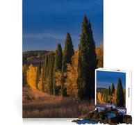 Paesaggio autunnale con cipressi - Puzzle da 1000 pezzi per ragazzi - Benessere mentale, attività rilassante, assemblaggio perfetto, regalo significativo (38x26cm)