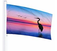 Paesaggio Bandiera Decor 3x5 Ft Fiume Sole Lago Alba Cielo Orizzonte Nuvola Mattina Crepuscolo Poliestere Motivo stampato Decorazioni per esterni per case e giardini