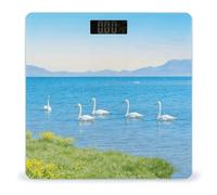 Paesaggio - Bilancia da bagno blu con accensione e spegnimento automatico, display LCD retroilluminato, bilancia digitale quadrata con angoli arrotondati, bilancia da bagno per la casa e le camere da