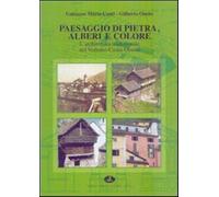 Paesaggio di pietra, alberi e colore. L'architettura tradizionale nel Verb...