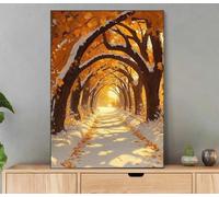 Paesaggio Dipingere con i Numeri Adulti, Dipingere con i Numeri Inverno, Fai Da Te Paint by Numbers Creativo Adulti con Cornice, Pennelli e Pigmenti Acrilici per Decorazioni Casa 50x70cm LiY-118