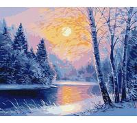 Paesaggio invernale Dipingere con i Numeri per Adulti,senza cornice Kit di pittura su Tela Pittura a Olio Fai da Te con pennelli e Colori Acrilica Decora la casa Regalo 40x50 cm