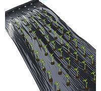 Paesaggio pellicola di plastica, Pacciamatura agricola, pellicola di plastica preforata a 5 fori, controllo delle erbacce in serra, attrezzi for piantare fragole e verdure in Mylar(0.95x20m)