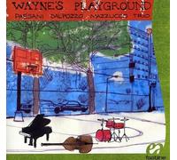 Paesani/Dalpozzo/Mazzucco Trio - Wayne's Playground