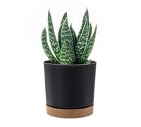PAFEN - Vaso da fiori rotondo 22,5l Coprivaso cilindrico - 34 x 32,5cm - con sottovaso, antracite