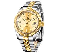 Pagani design Orologio Automatico da Uomo, Movimento Meccanico Automatico Giapponese, Elite Business Watch, Acciaio Inox, Moda Casual, Resistente all'Acqua fino a 100m… (Tutti gli ori 1645- PQ)