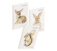 Pagna 20378-25 - Libro degli amici Save me No.4 60S, 3 pezzi