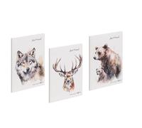 Pagna 20384-25 - Libro degli amici Save me No.5 60S, 3 pezzi