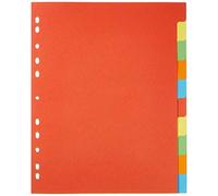 Pagna 32006-20 registro, A4, XXL, 10 teilig, 5-colori