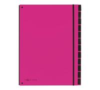 Pagna - Classificatore da scrivania, rilegatura in cartone nero plastificato, retro estensibile, confezione da 12 pezzi, 265 x 20 x 340 mm, rosa scuro