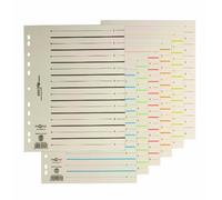 Pagna Easy Rip 44063-02 - 100 Fogli divisori prestampati formato A4 (indicizzazione a gruppi di 20 pagine), colore: blu