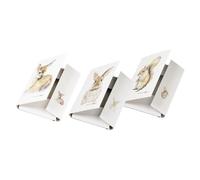 Pagna Multipack 21352-25 - Scatola raccoglitore A4 Save me No.4, chiusura elastica assortita, scoiattolo, coniglietto e cervo