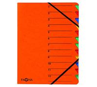 Pagna 24131-12 Easy Folder 12 Divider Tabs with Rubber Corners Coloured Print 1-