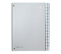 PAGNA Pultordner Color, DIN A4, 1-31, 31 Fächer, silber