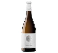 Pago de Los Capellanes O Luar Do Sil Sobre Lías Valdeorras DO Godello 2023 0,75 ℓ