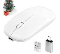 Paicreate Mouse wireless Bluetooth per MacBook Air Pro iMac iPad Laptop Desktop Surface Tablet PC, 2,4 GHz Mouse cordless con USB e USB-C doppio ricevitore ricaricabile portatile sottile silenzioso