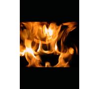 Paid In Full: Revenge Has a New Weapon