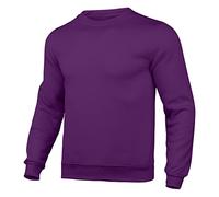 PAIDAXING Felpe da uomo UK Unisex Manica Lunga Girocollo Top Casual Tinta Unita Pullover Senza Cappuccio Mens Primavera Street Wear Atletico Cappotto Sudore Top, Viola, M