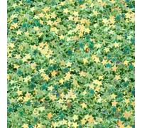 Paillettes a forma di stella in PVC da 30 g/borsa, 3,0 mm, glitter colorati, sciolti, per decorazioni fai da te per nail art, accessori per capelli, bellezza, trucco, oro verde, 3,0 mm