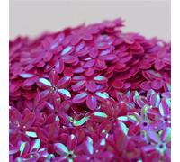 Paillettes sfuse, Paillettes piatte a sei foglie da 15 mm, multicolore, 10 g(Ab rose)
