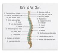 Pain Referral Map Poster for Clinical Education