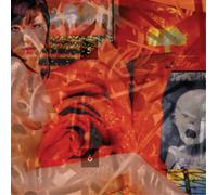 Painjerk Mission Invisible (CD) Album