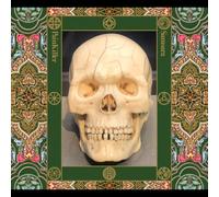 Painkiller - Samsara