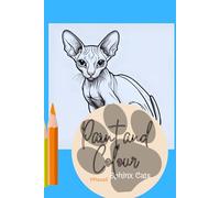 Paint and colour sphinx cat: Little sphinx cats