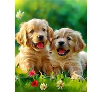 Paint by Number Adulti Cane, Paint by Numbers Animale, Kit con Pennelli e Pigmento Acrilico, Dipingi con i Numeri Adulti Bambini e Principianti, Regali per decorazione femminile 50x70cm Q-102