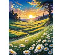 Paint by Number for Adult,Field Daisy Sunrise DIY Oil Painting Kits on Canvas for Beginner,with Brushes and Acrylic Pigment,Paint by Numbers Arts and Crafts Kit for Home Decor with frame,50x65cm