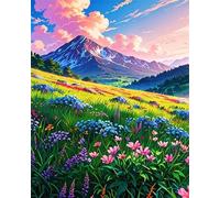 Paint by Number for Adult,Mountains Flower Fields DIY Oil Painting Kits on Canvas for Beginner,with Brushes and Acrylic Pigment,Paint by Numbers Arts and Crafts Kit for Home Decor with frame,50x65cm