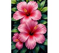 Paint by Number for Adult,Pink Iris DIY Oil Painting Kits on Canvas for Beginner,with Brushes and Acrylic Pigment,Paint by Numbers Arts and Crafts Kit for Home Decor with frame,50x65cm