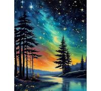 Paint by Number for Adult,Starry Sky Aurora DIY Oil Painting Kits on Canvas for Beginner,with Brushes and Acrylic Pigment,Paint by Numbers Arts and Crafts Kit for Home Decor with frame,50x65cm