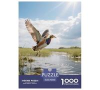 Painted Snipe 1000 Pezzi Puzzle Da Facile A Medio Per Principianti Riconoscimento Delle Forme Allenamento Visivo Bird Regalo Di Compleanno 70x50cm/1000pcs