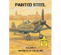 Painted Steel - Aircrafts of the Alliies: Bringing History to Life