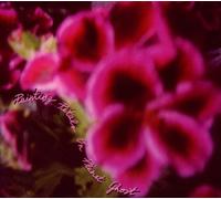 Painting Petals on Planet Ghost - Fallen Camellias