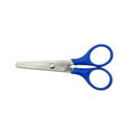 Paio forbici 10 cm lame acciaio inox 1 St