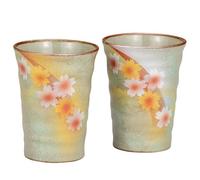 Paio Kutani Yaki Oggetto Giapponese Sake Birra Acqua Vetro Cup Set Yoko Fiore A