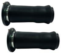Pair Of Rear Air Spring Borse (Sinistra e Destra) Per Discovery MK2 RKB101200G