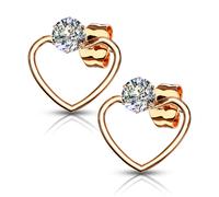Paire Di Orecchini Chic Per Donna Acciaio Cuore E Pietra Zircone 3564