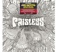 Paisley - Cosmic Mind At Play