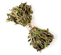 PAITOK Nastro di Foglie di Vite Artificiale, 10 Metri di Spago di Iuta Naturale con Decorazione di Foglie Verdi Pianta a Foglia Finta per la Decorazione del Giardino di Casa Confezione Regalo
