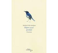 Pájaro azul perdido