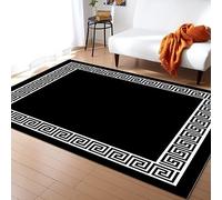 PAJEON Tappeto decorativo con chiave greca geometrica semplice nero bianco retrò, 60 x 110 cm facile manutenzione interna moquette, ecologico zerbino interno - per la camera dei bambini